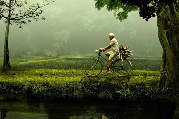A man riding through nature on his bike, biking trip in germany
